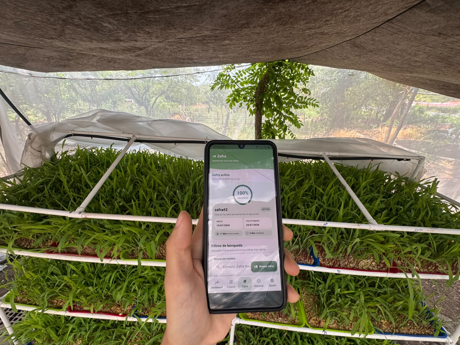 Sistema automatizado de Forraje Verde Hidropónico de AgroTronic